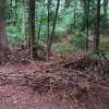 20180814_075718